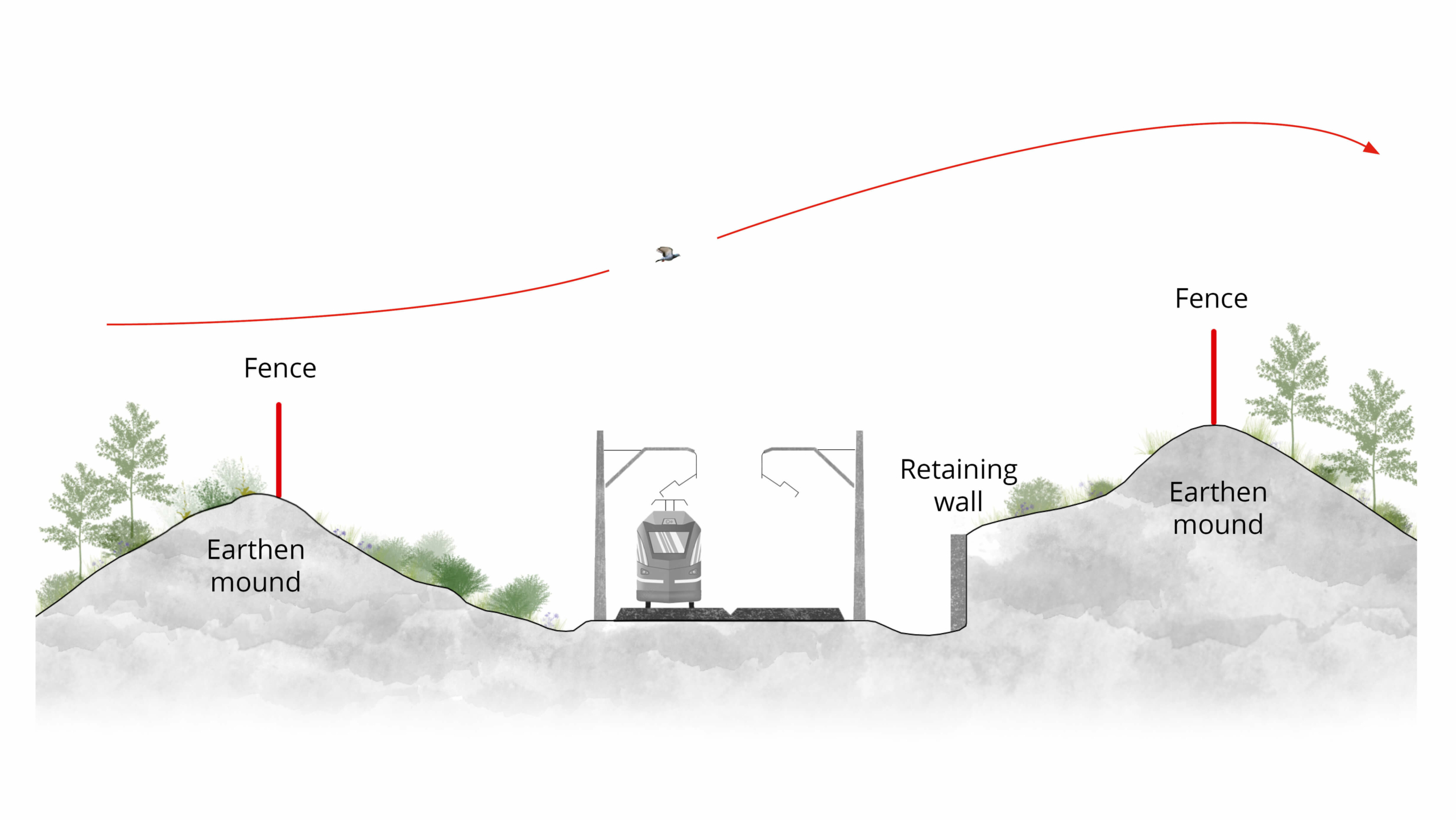 Figure 5.6.5 – Cross-section of a railway located between linear earthen mounds to reduce noise. Additional screen fencing is located in the top of the mounds to force birds and other flying animals higher over the area of risk, reducing collisions with traffic or catenaries (Source: Adapted from Cerema, 2021).